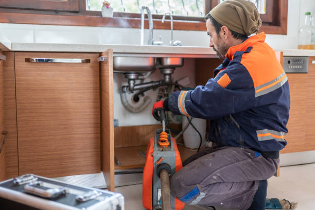 Best Local Plumber Services  in West Baraboo, WI